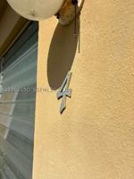 featured image of 301 Sharar Ave #4