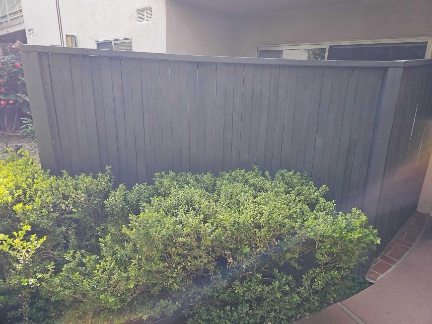 11849 Magnolia Blvd - Photo 3 of 10