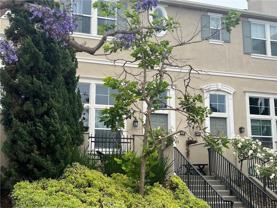 42 Fringe Tree - Photo 1 of 1