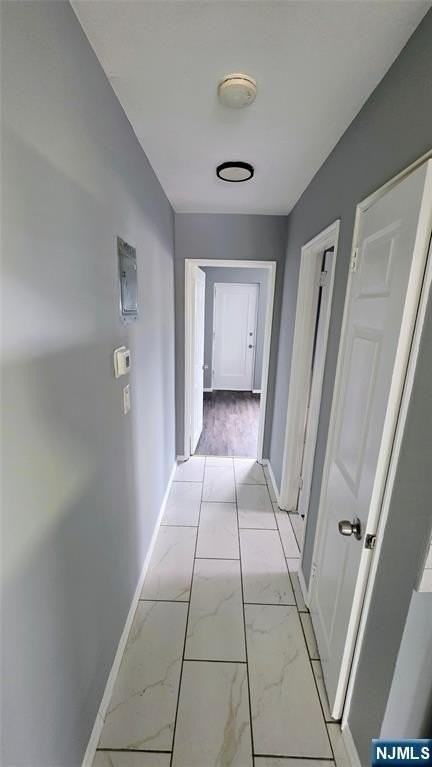 449 Washington Ave #3 - Photo 6 of 9