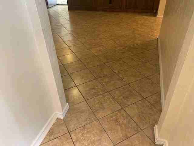 1221 Willow Wood Ct - Photo 3 of 28