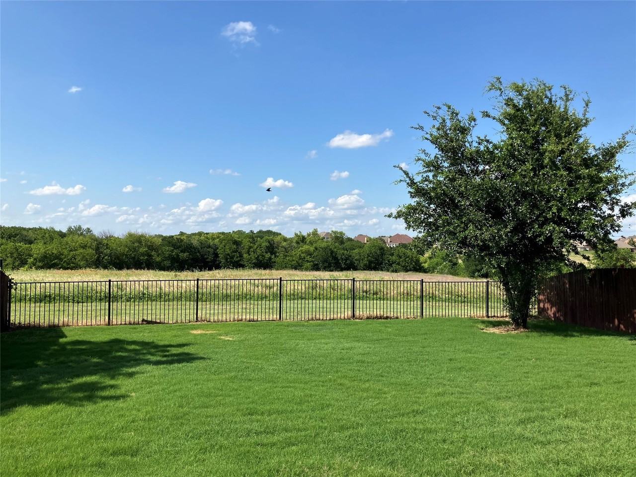 1445 Whitewater Dr - Photo 2 of 15