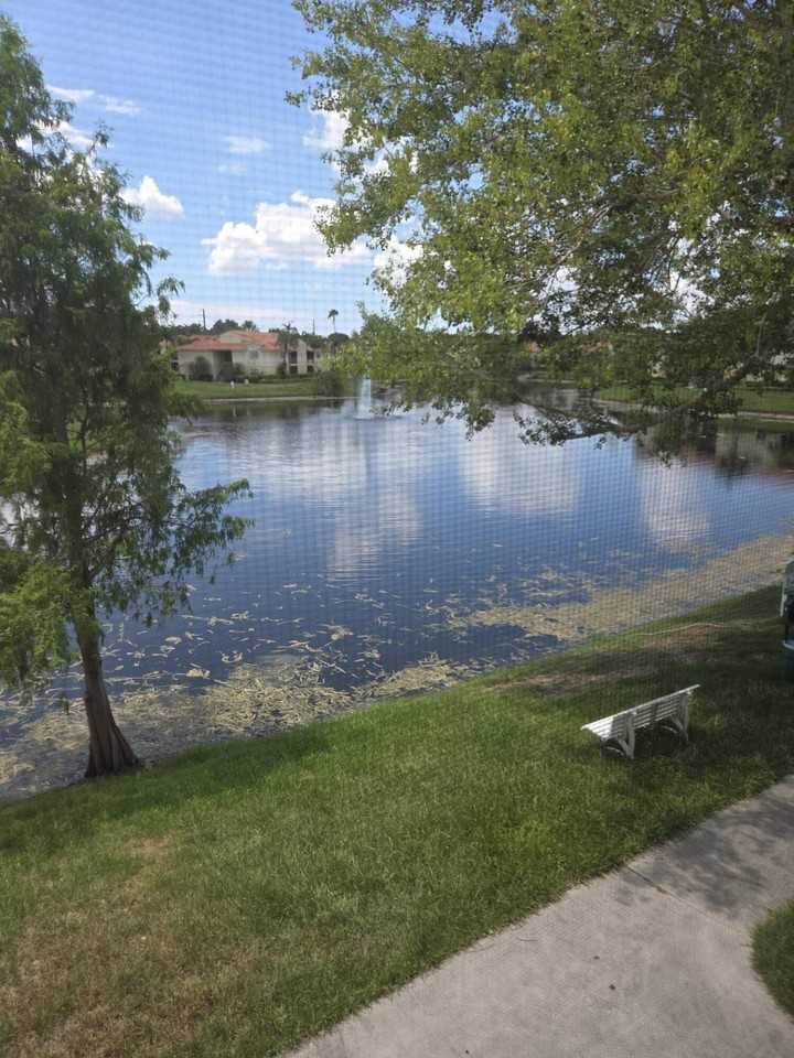 1245 Sw 46th Ave #1204 - Photo 2 of 16
