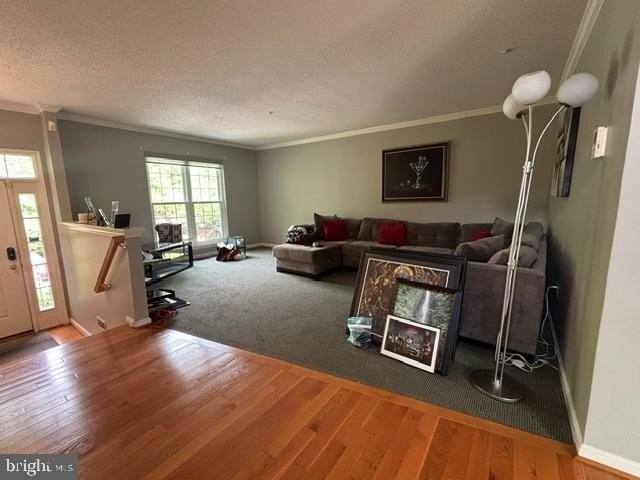10148 Vanderbilt Cir - Photo 4 of 29