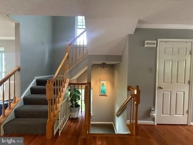 10148 Vanderbilt Cir - Photo 6 of 29