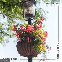 featured image of 8023 Washington Ave