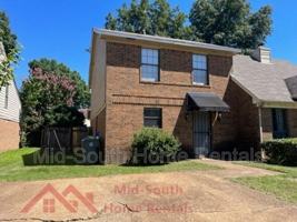 featured image of 4206 Cedartree Dr