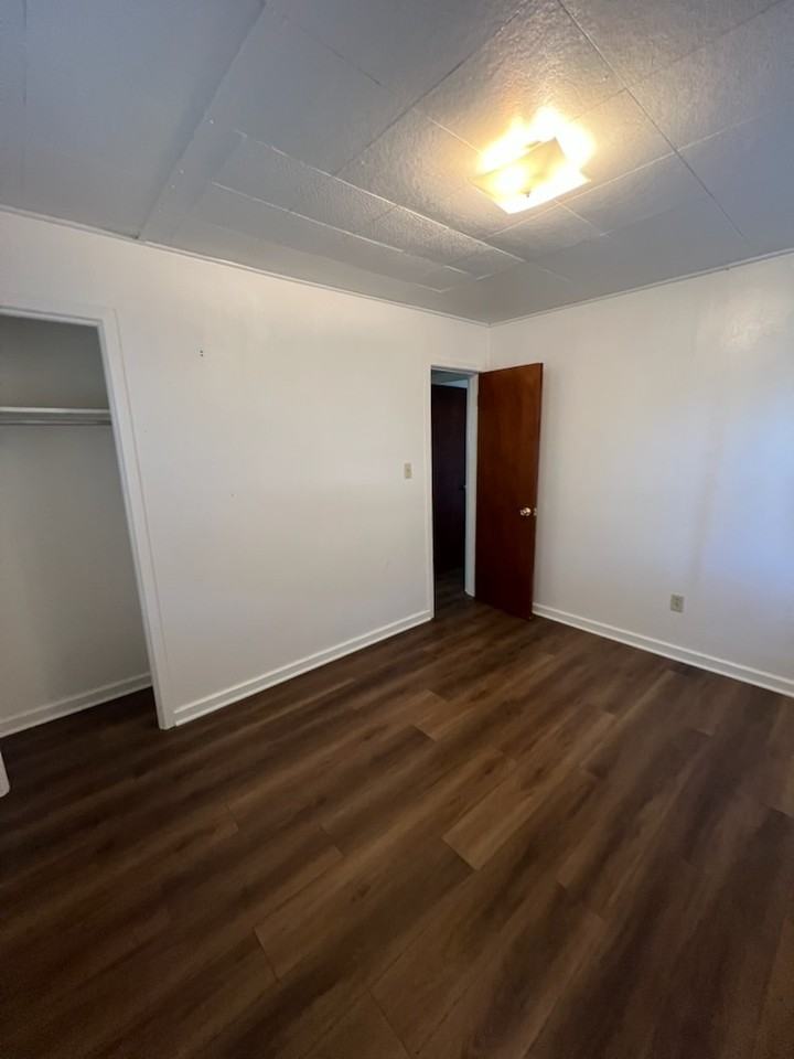 1021 S 1st St - Photo 5 of 9