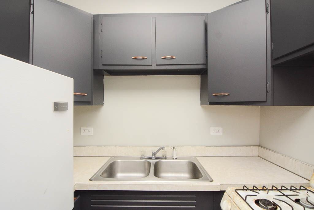 1347 N Dearborn St #604 - Photo 3 of 18