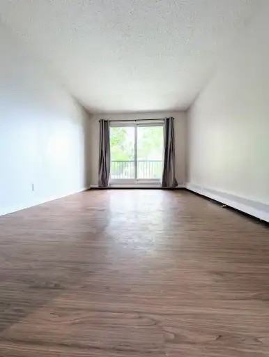 5812 57 Ave #206 - Photo 5 of 10