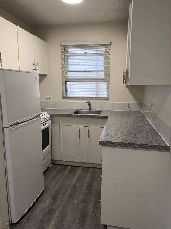 203 - Photo 4 of 14