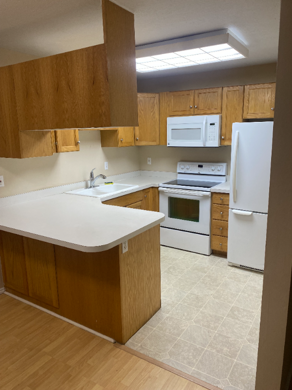 1245 Riverside Ave #39 - Photo 5 of 20