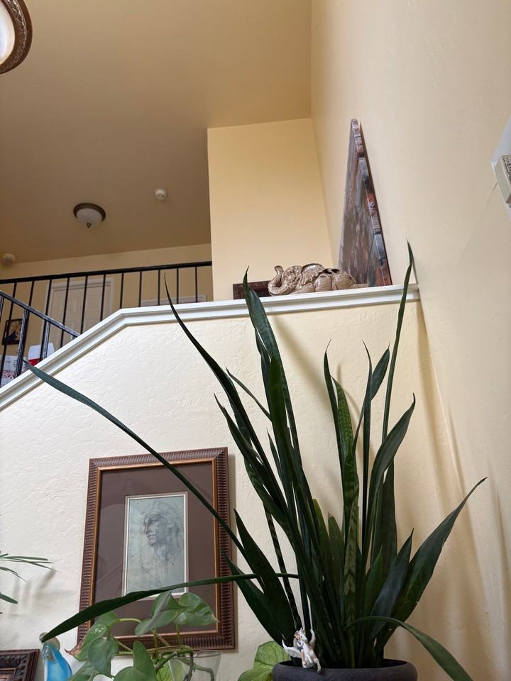 1310 Primavera St #117 - Photo 6 of 11