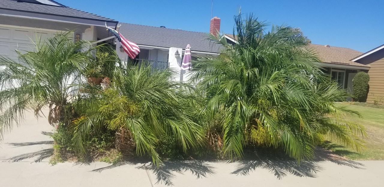 1505 E Van Bibber Ave - Photo 4 of 12