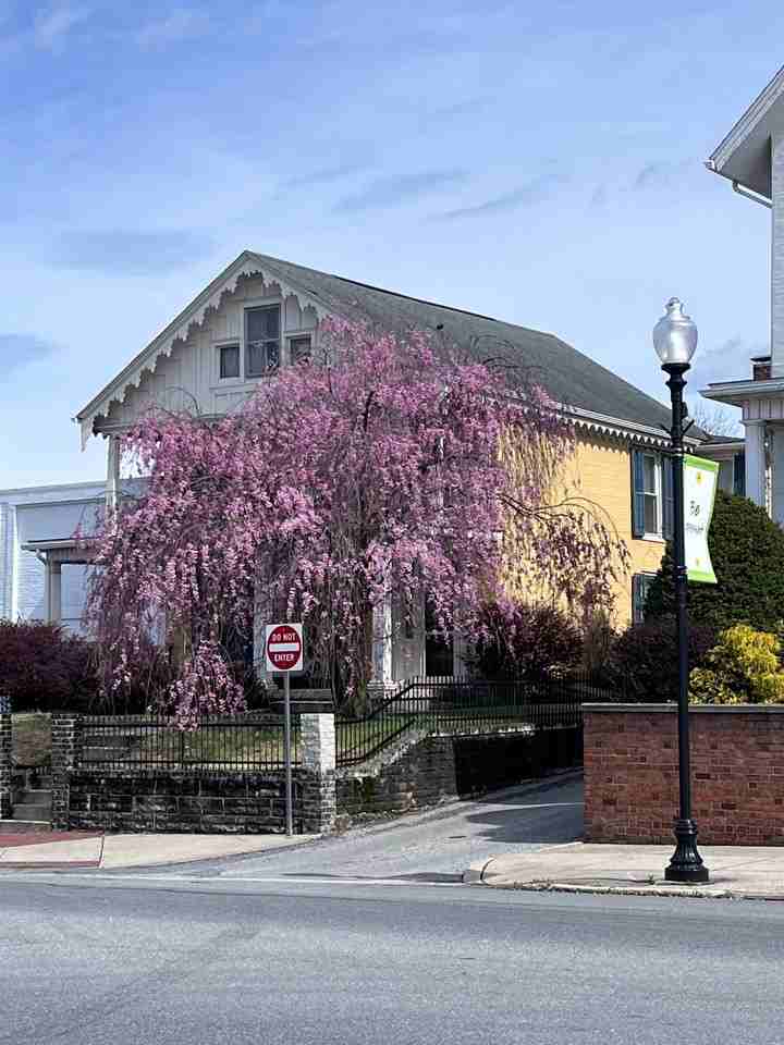 77 E Main St - Photo 2 of 17