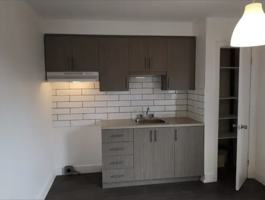 featured image of 8065 Avenue De Lorimier #5