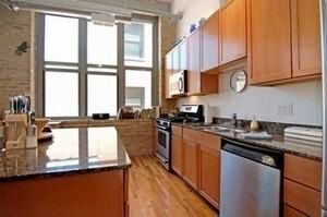 824 W Superior St #410 - Photo 4 of 13