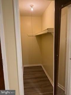 304 Christopher Pl #1stFL - Photo 5 of 15