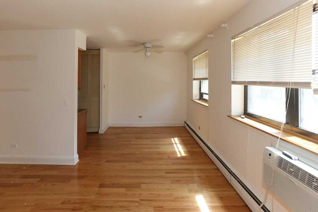 510 W Briar Pl #209 - Photo 5 of 17