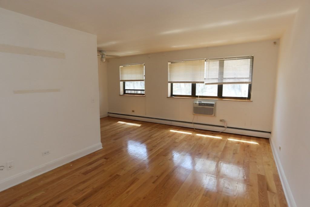 510 W Briar Pl #209 - Photo 6 of 17