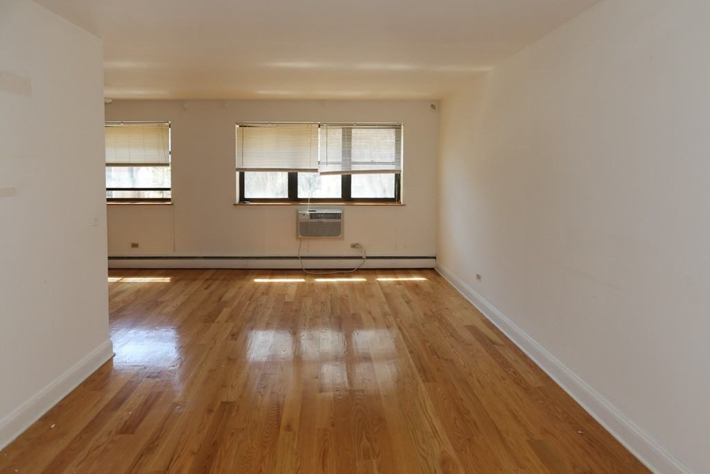 510 W Briar Pl #209 - Photo 7 of 17