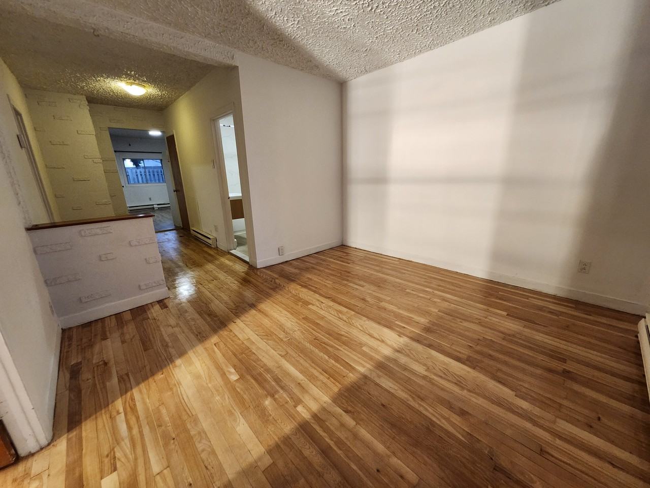 527 Rue Lepailleur - Photo 4 of 15