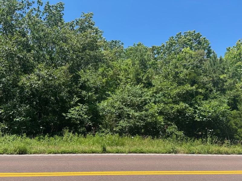 W State Highway 47 #NA - Photo 2 of 6
