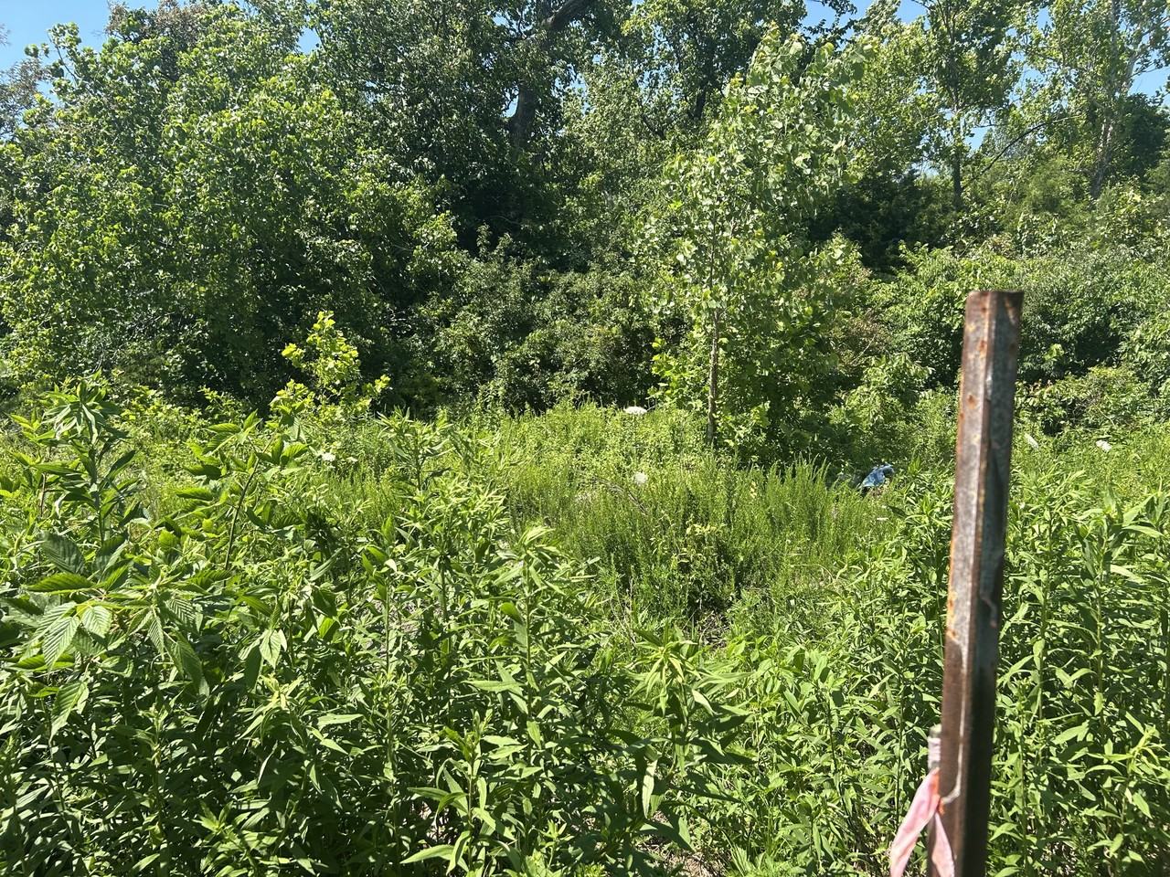 W State Highway 47 #NA - Photo 6 of 6