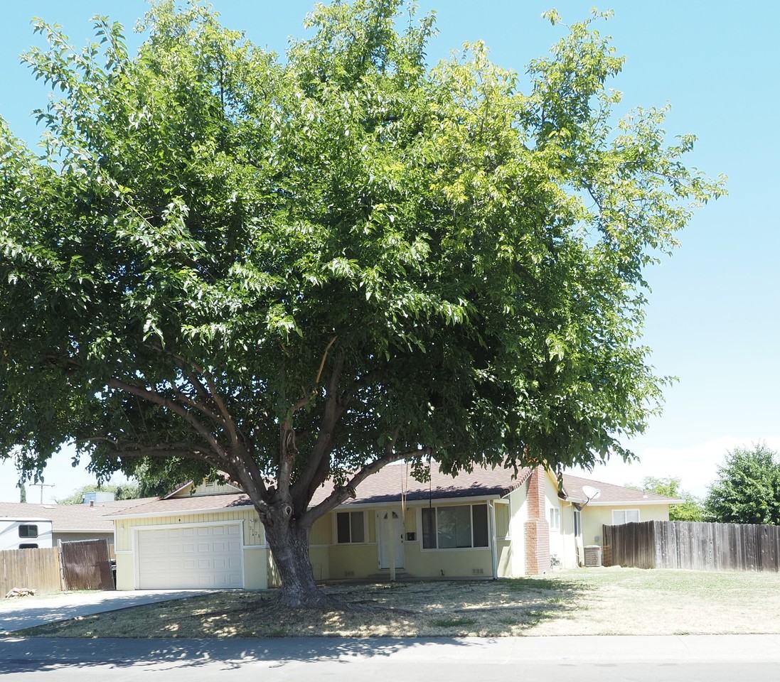 3131 Scotland Dr Unit A #NA