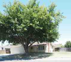 3131 Scotland Dr Unit A #NA - Photo 1 of 1