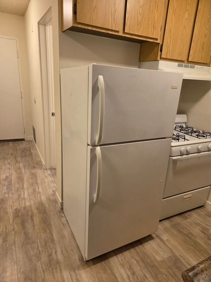 10075 Tujunga Canyon Blvd - Photo 4 of 28