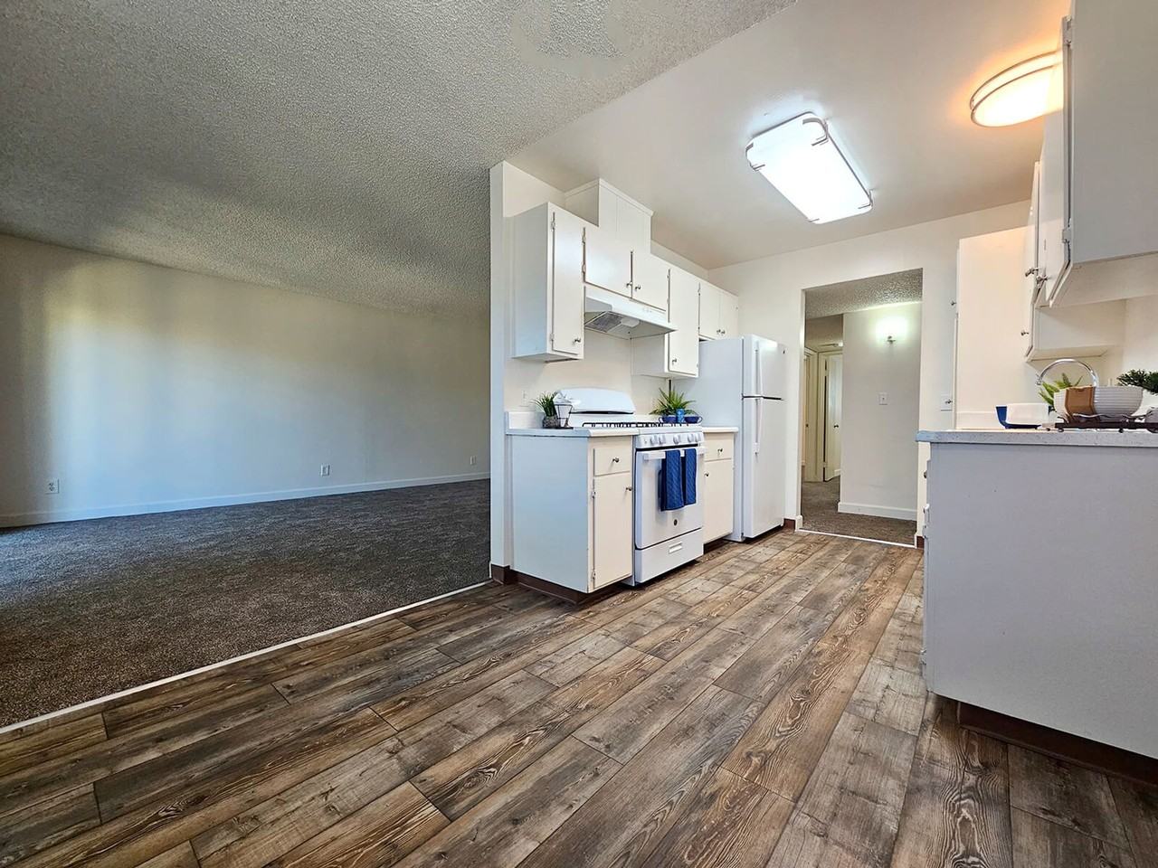 Shady Terrace Apartments! - Photo 3 of 19