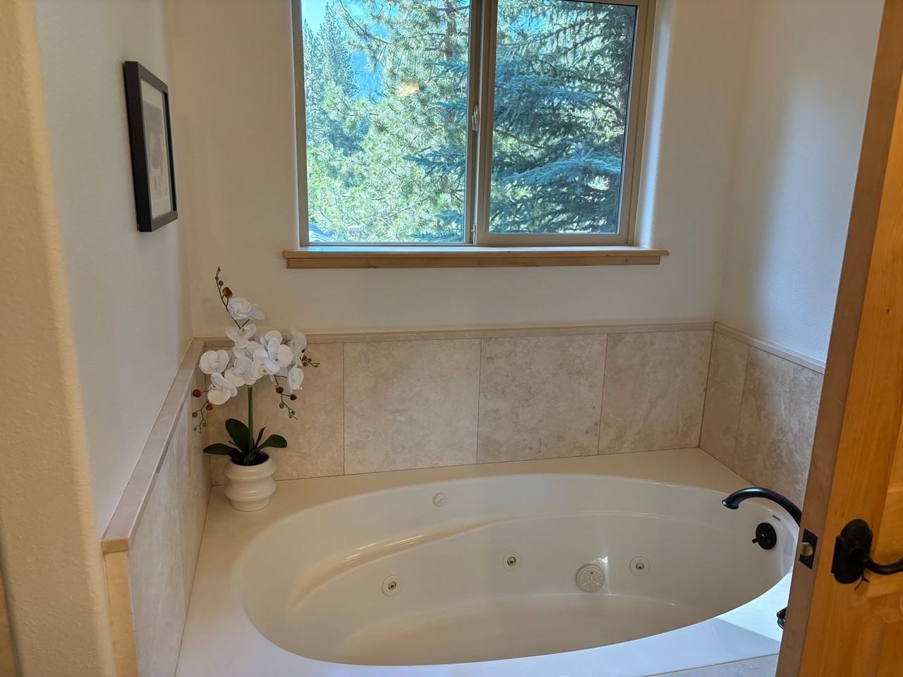 1637 Black Bart Ct - Photo 3 of 27