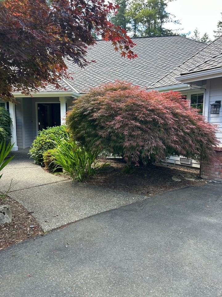 2717 264th Ct Ne - Photo 5 of 35