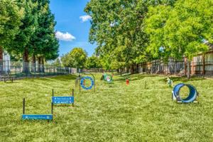 featured image of 3663 Solano Ave
