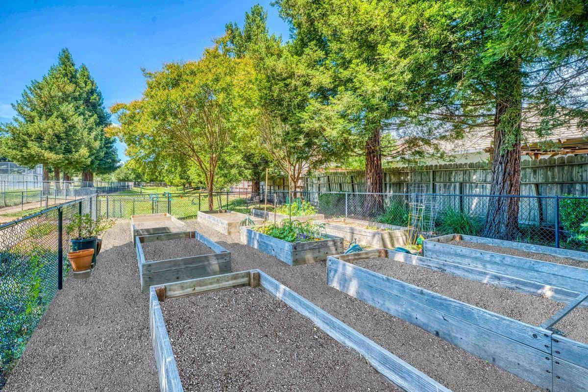 3663 Solano Ave - Photo 4 of 36