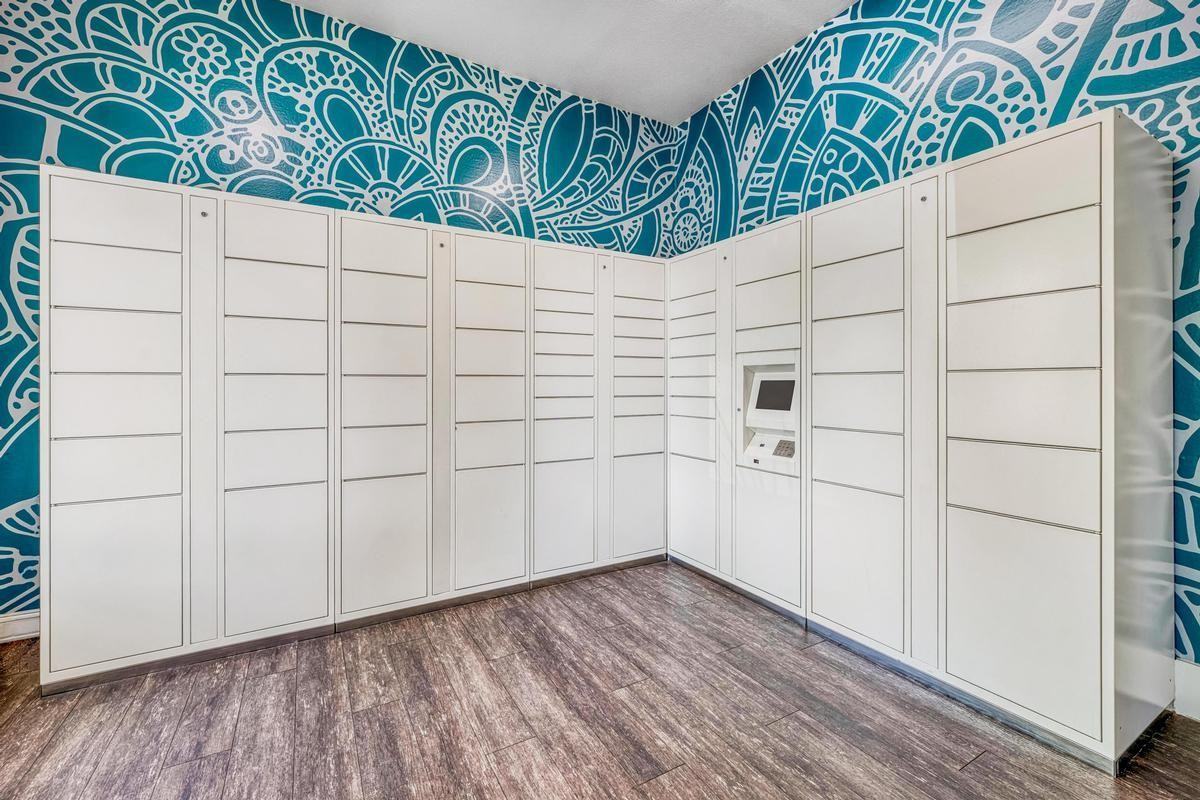 3663 Solano Ave - Photo 7 of 36