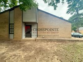 featured image of Jester Cir