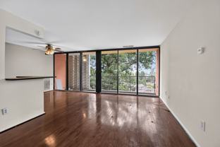 12 S Van Dorn St #503 - Photo 1 of 1