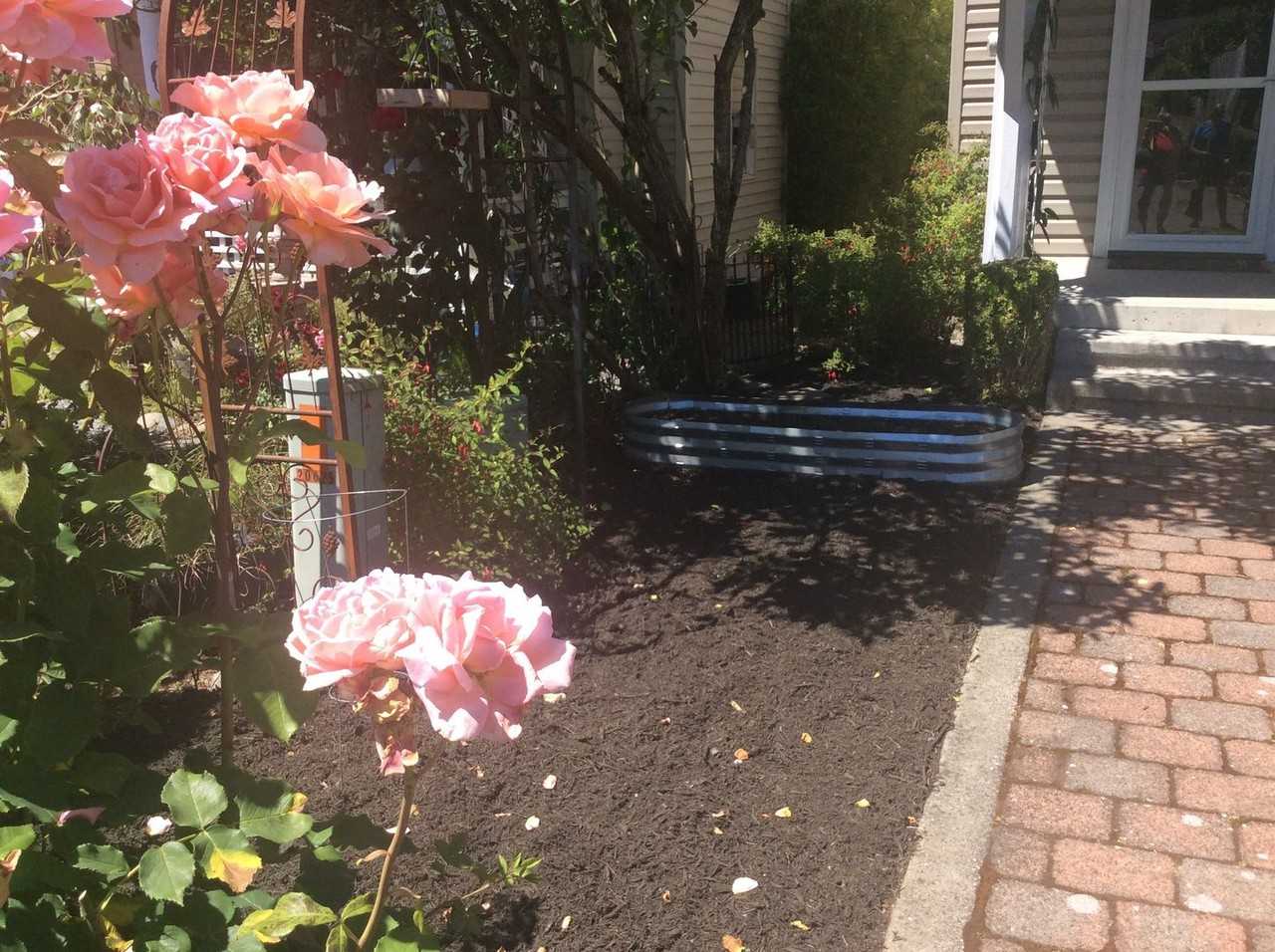 20625 12th Ave S - Photo 3 of 24