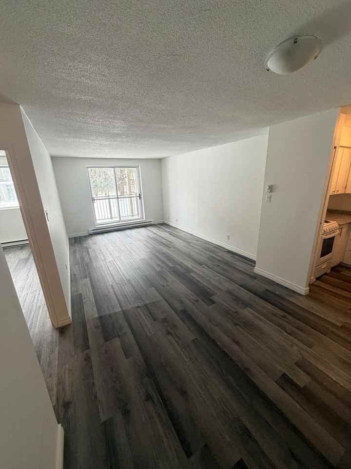 42 Bedard - Photo 2 of 35