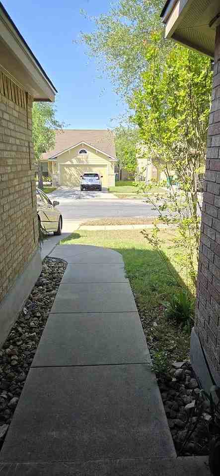 8907 Arabian King #NA - Photo 2 of 20