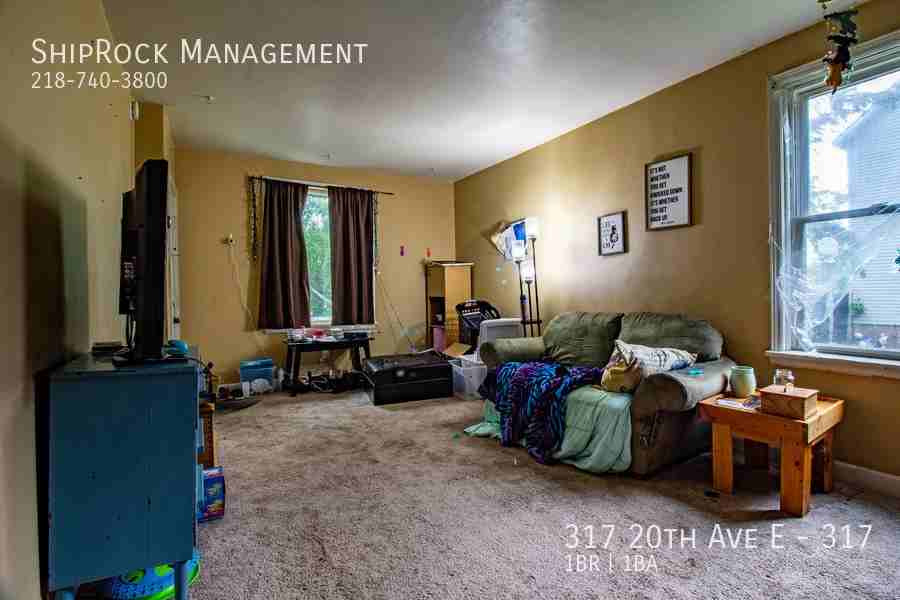 317 20th Ave E #317 - Photo 3 of 8