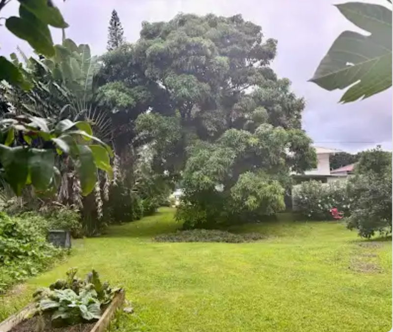 60 Nohea St - Photo 7 of 9