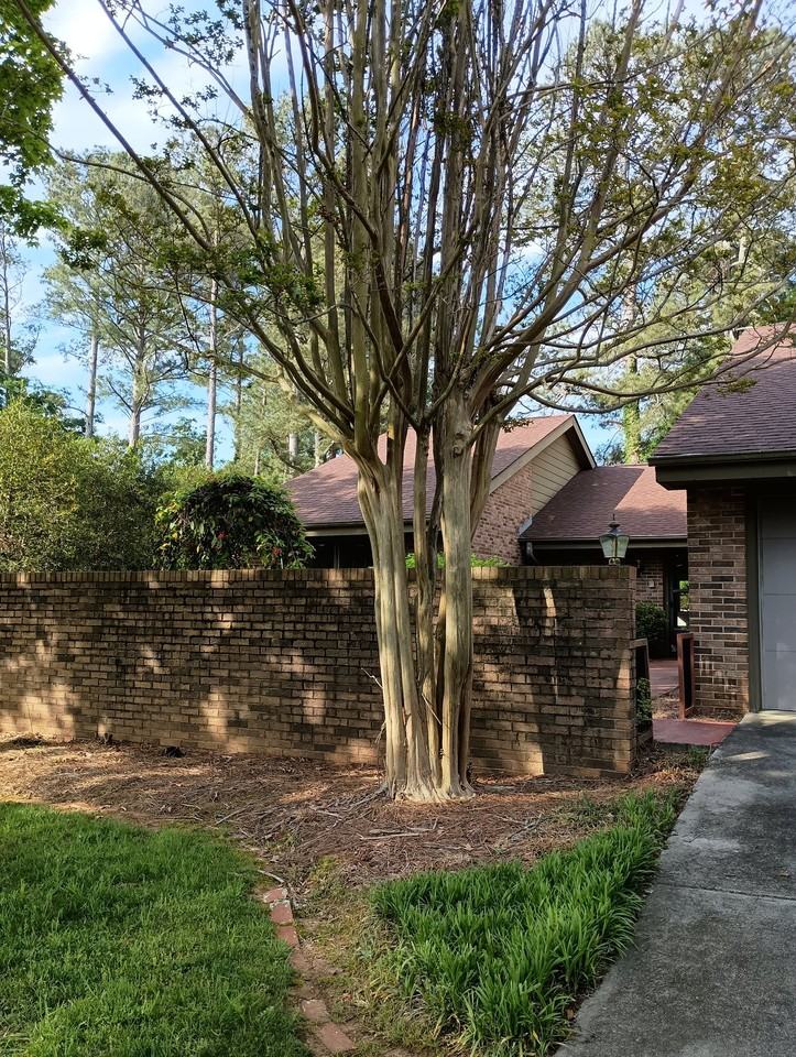 34 Hickory Way - Photo 4 of 4
