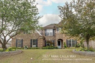 7827 Anna Calla Way - Photo 1 of 1