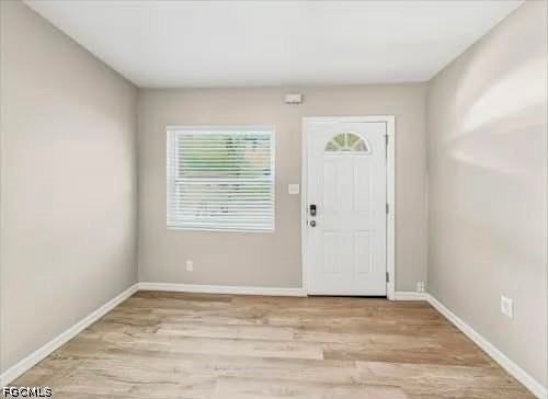 903 Citrus St - Photo 2 of 13