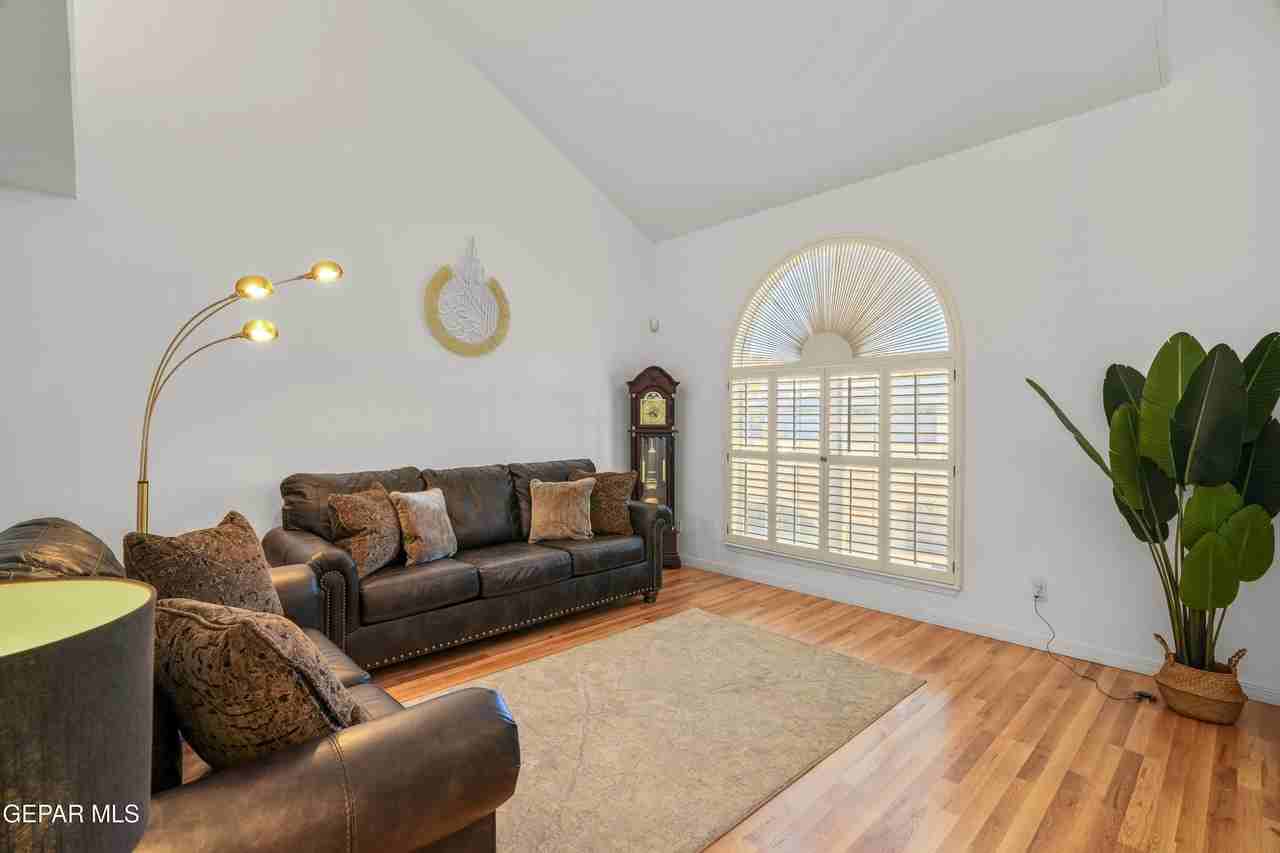 6205 La Posta Dr - Photo 6 of 50