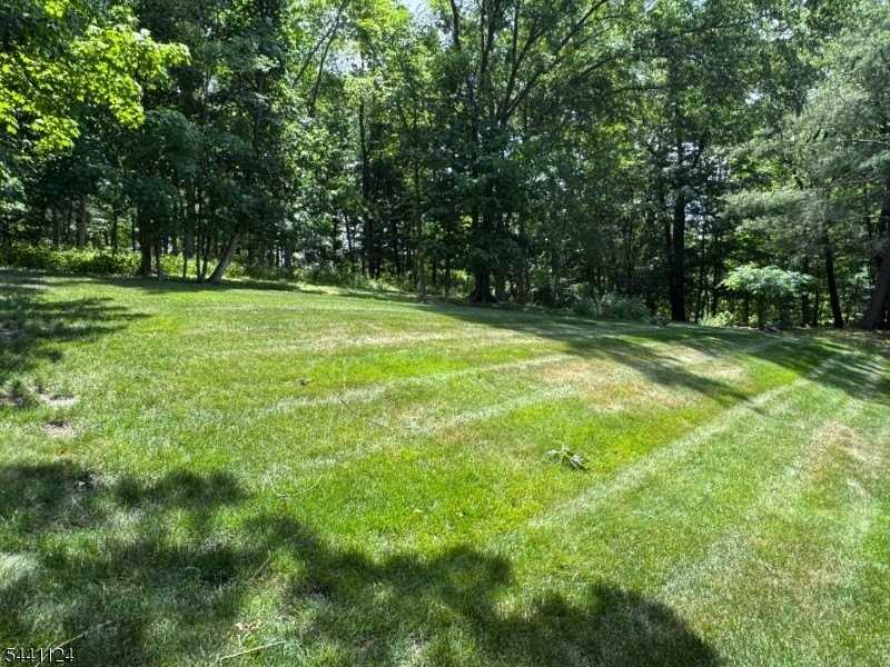 244 Butternut Dr - Photo 4 of 4