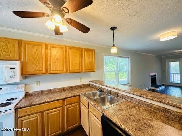 1811 Savannah Ct - Photo 6 of 21